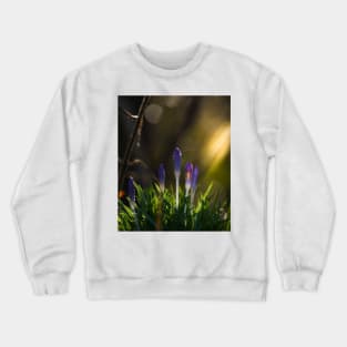 Crocus Crewneck Sweatshirt